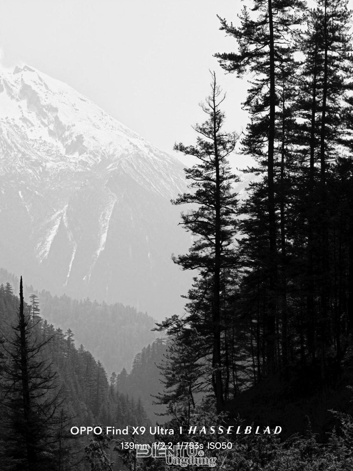 Hơn 4.000 người đăng ký sở hữu siêu phẩm OPPO Find X9 Ultra trước thềm ra mắt