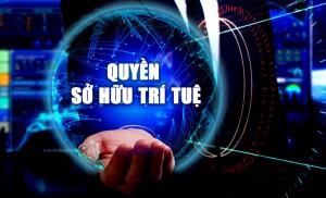 Thủ tướng ra công điện quyết liệt chống vi phạm sở hữu trí tuệ