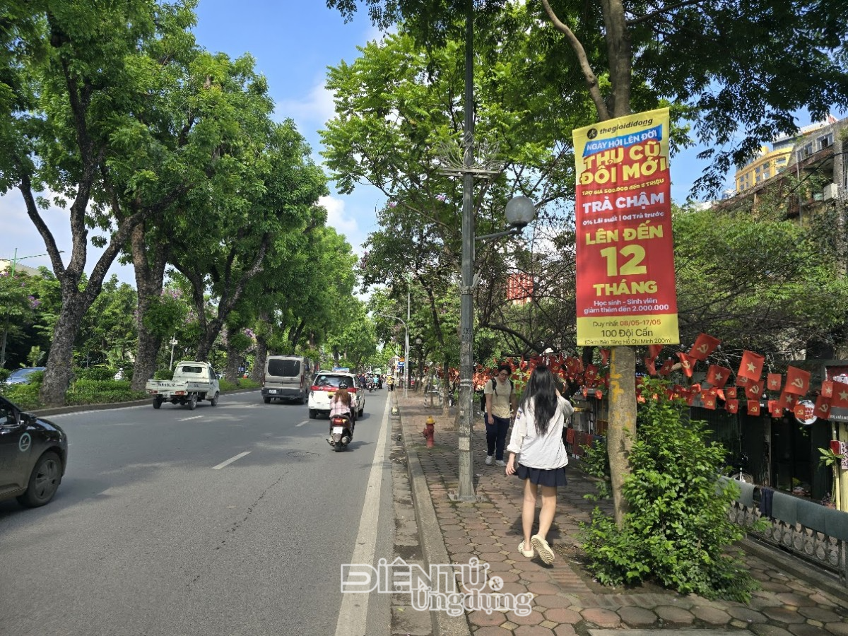 Treo băng rôn quảng cáo lên cây xanh, cột điện: Doanh nghiệp có thể đối mặt mức phạt nào?
