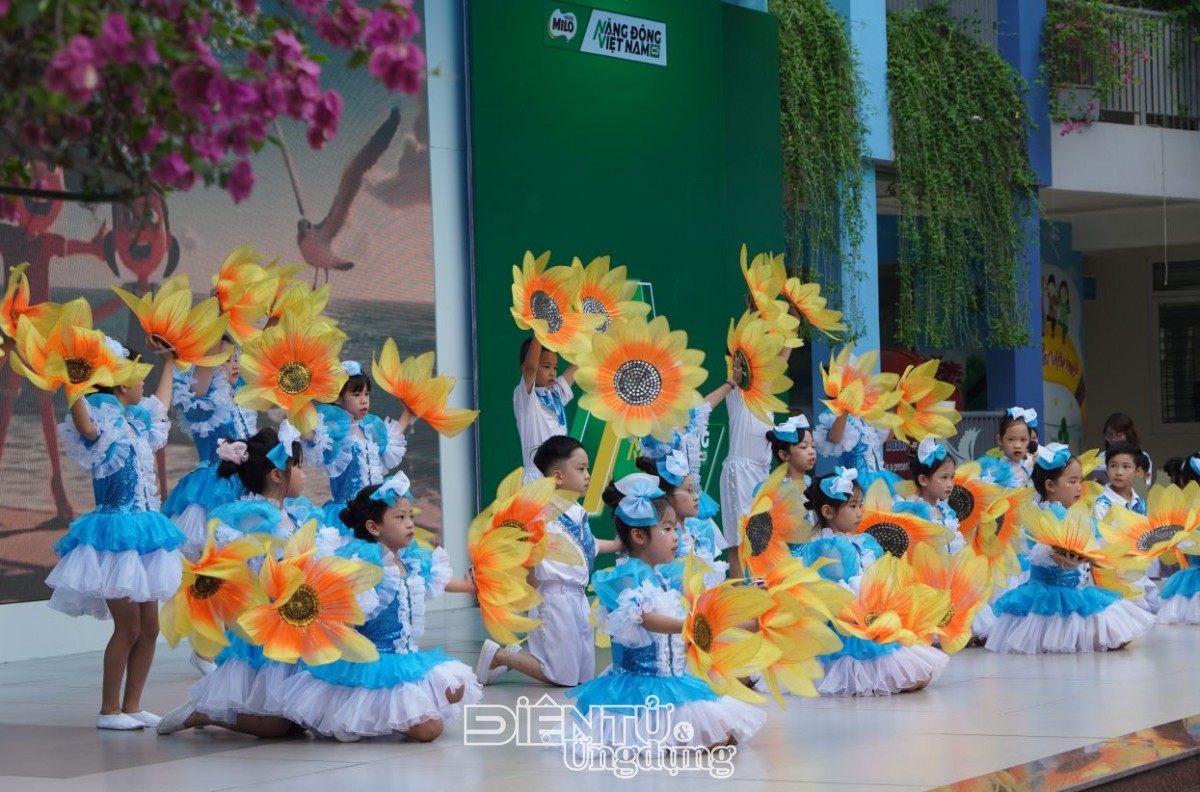 Cuộc thi 