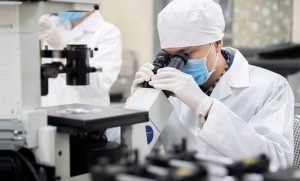 Chính sách mới tạo đột phá, 