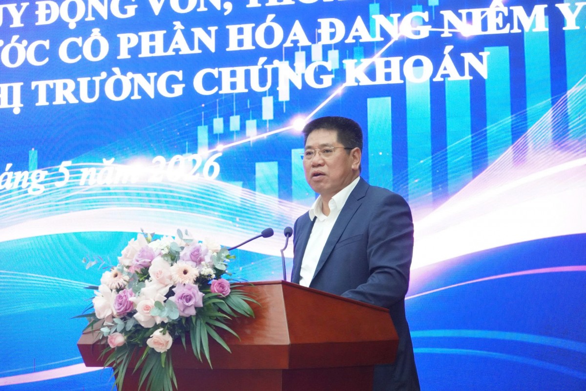 Vũ Hồng Phương, Cục trưởng Cục Phát triển DNNN