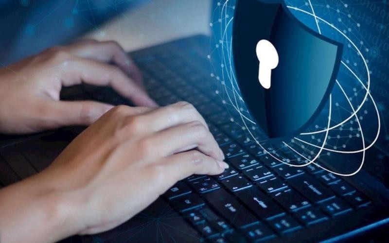 Nhiều startup phần mềm Việt cho biết sản phẩm bị crack và phát tán miễn phí chỉ sau thời gian ngắn ra mắt thị trường.