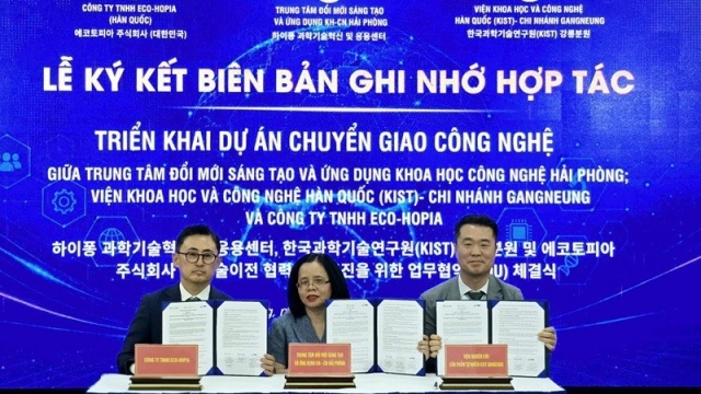 Hải Phòng lọt top 1.000 Hệ sinh thái khởi nghiệp nổi bật toàn cầu
