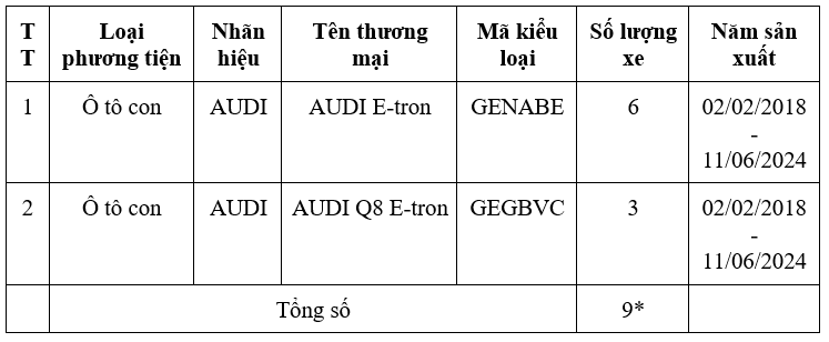Audi Việt Nam triệu hồi E-tron và Q8 E-tron vì lỗi phanh