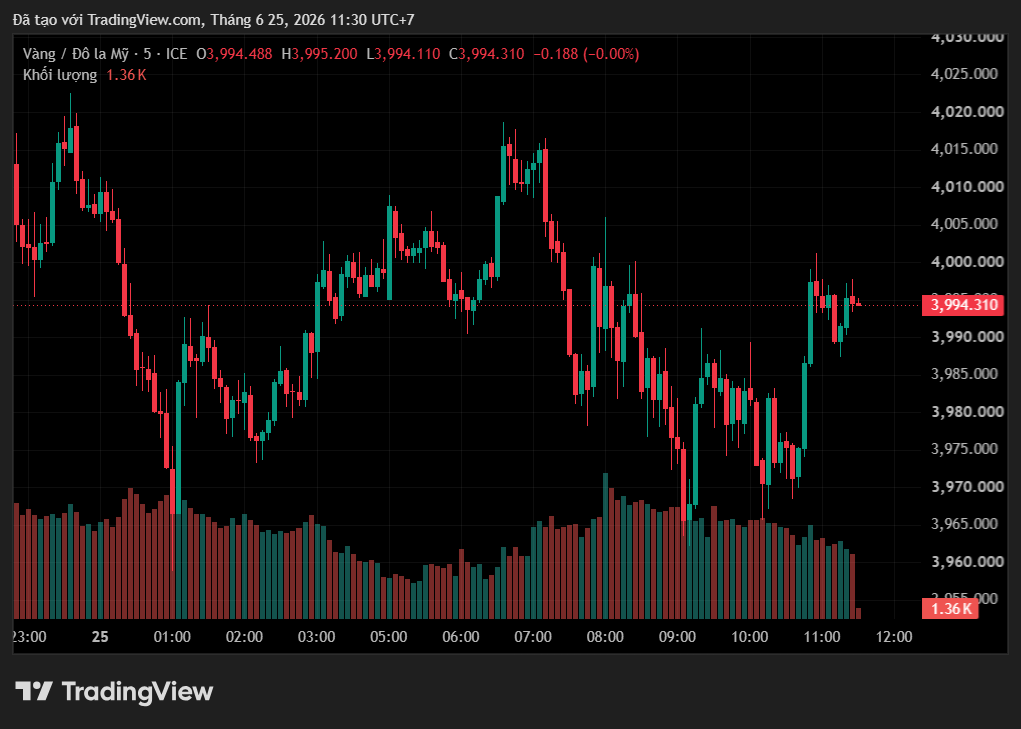 Giá vàng hôm nay 25/6: Vàng miếng SJC và nhẫn cùng giảm theo giá thế giới