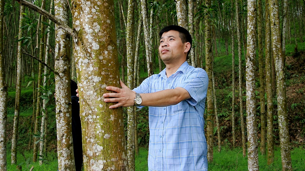 Sàn giao dịch carbon: Hạ tầng công nghệ cho kinh tế xanh Nghệ An