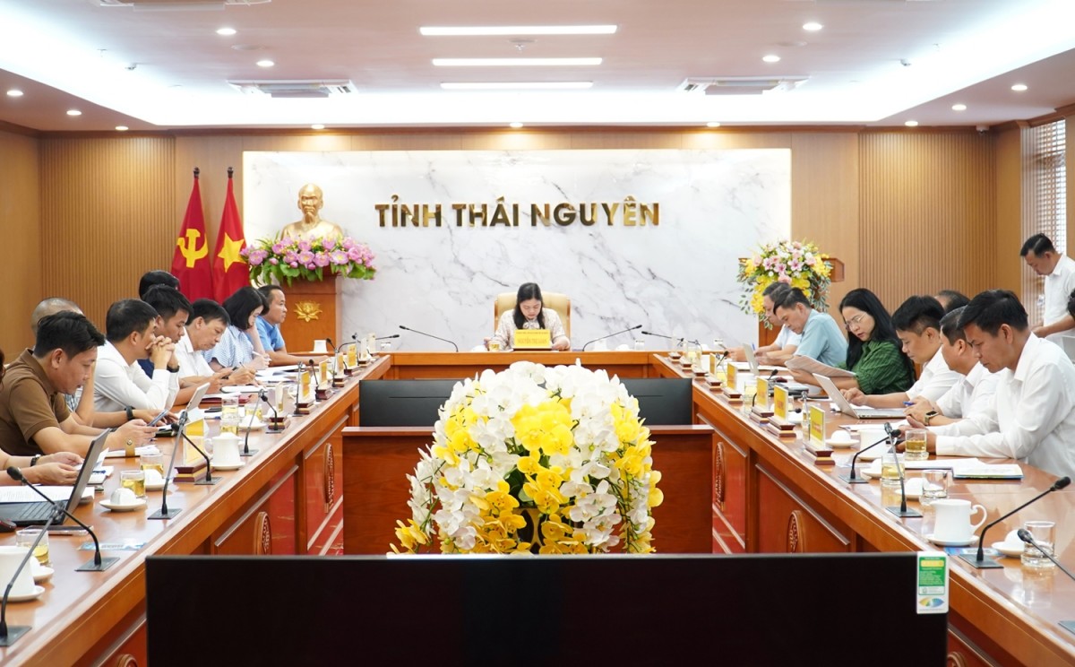 Thái Nguyên hướng tới Festival Trà Quốc tế 2026 hiện đại, đậm dấu ấn công nghệ