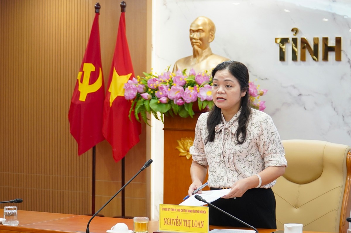 Phó Chủ tịch UBND tỉnh Thái Nguyên  Nguyễn Thị Loan phát biểu tại cuộc họp.