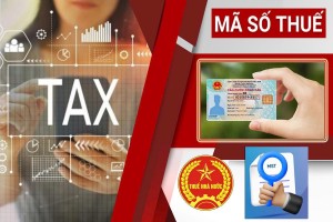 Ngành Thuế tăng tốc chiến dịch 