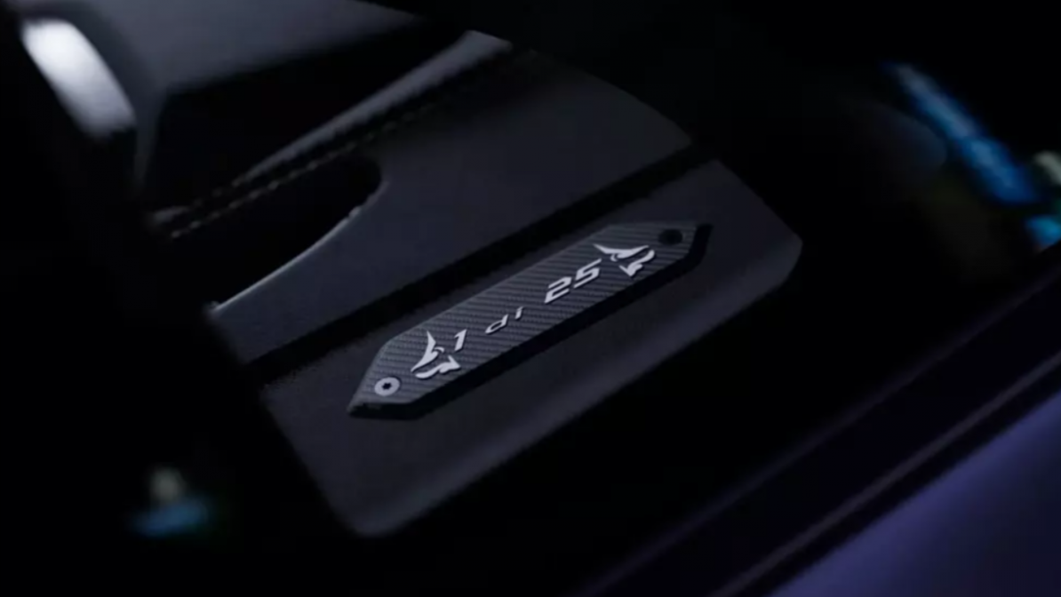 Tấm ốp sợi carbon trên mỗi chiếc Lamborghini Revuelto Impavido. Ảnh: Lamborghini