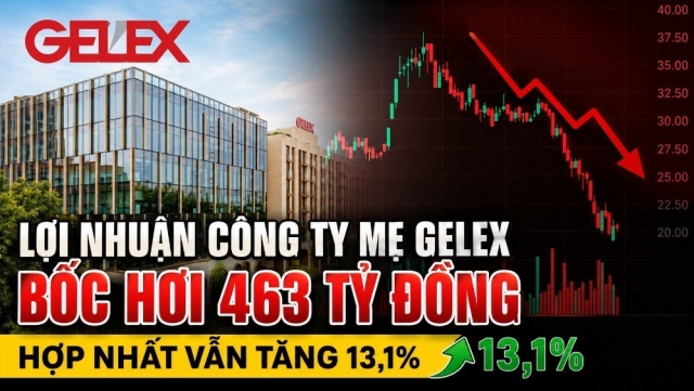 Lợi nhuận công ty mẹ GELEX bốc hơi 463 tỷ đồng, hợp nhất vẫn tăng 13,1%