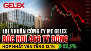 Lợi nhuận công ty mẹ GELEX bốc hơi 463 tỷ đồng, hợp nhất vẫn tăng 13,1%
