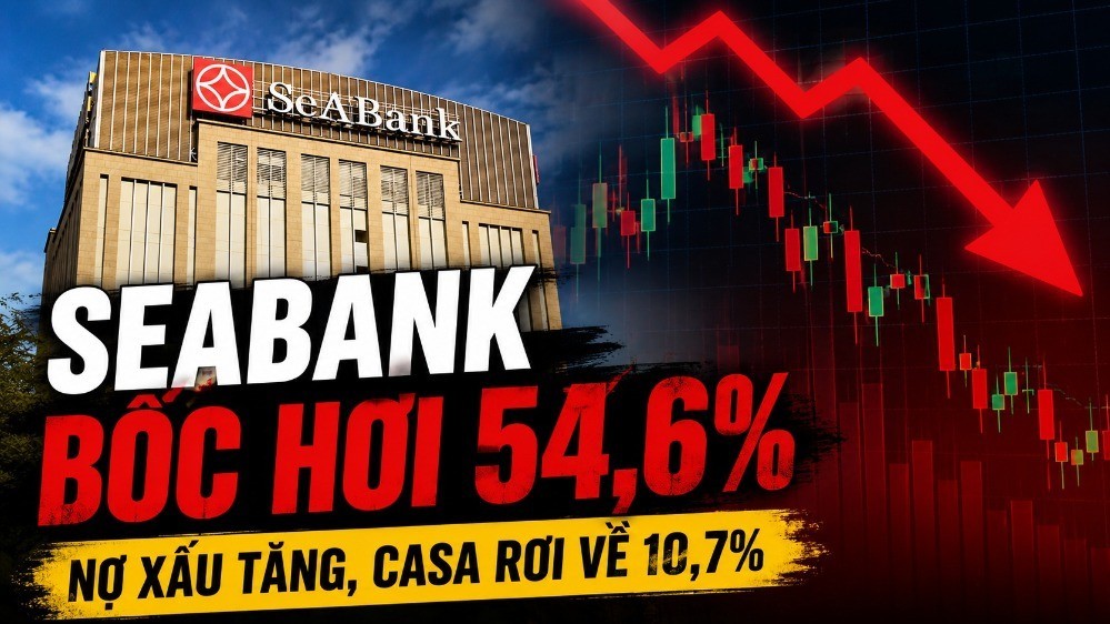 Lợi nhuận SeABank bốc hơi 54,6%, nợ xấu tăng, CASA rơi về 10,7%