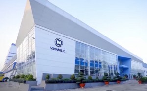 Vinamilk lãi hợp nhất quý II tăng gần 28%, công ty mẹ chỉ tăng 3,69%
