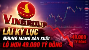 Vingroup lãi kỷ lục nhưng mảng sản xuất lỗ hơn 49.000 tỷ đồng