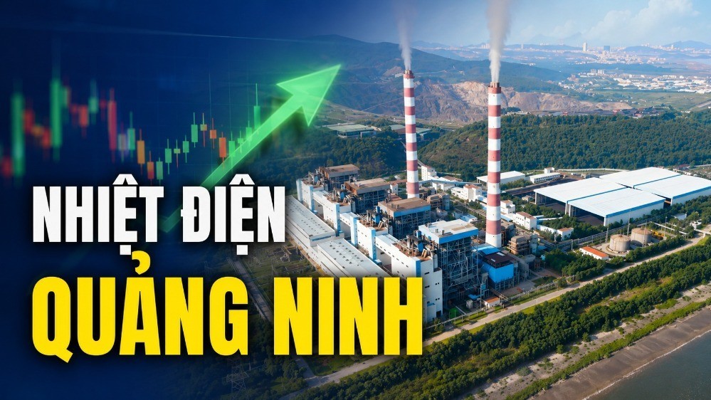 Nhiệt điện Quảng Ninh lãi 524 tỷ đồng