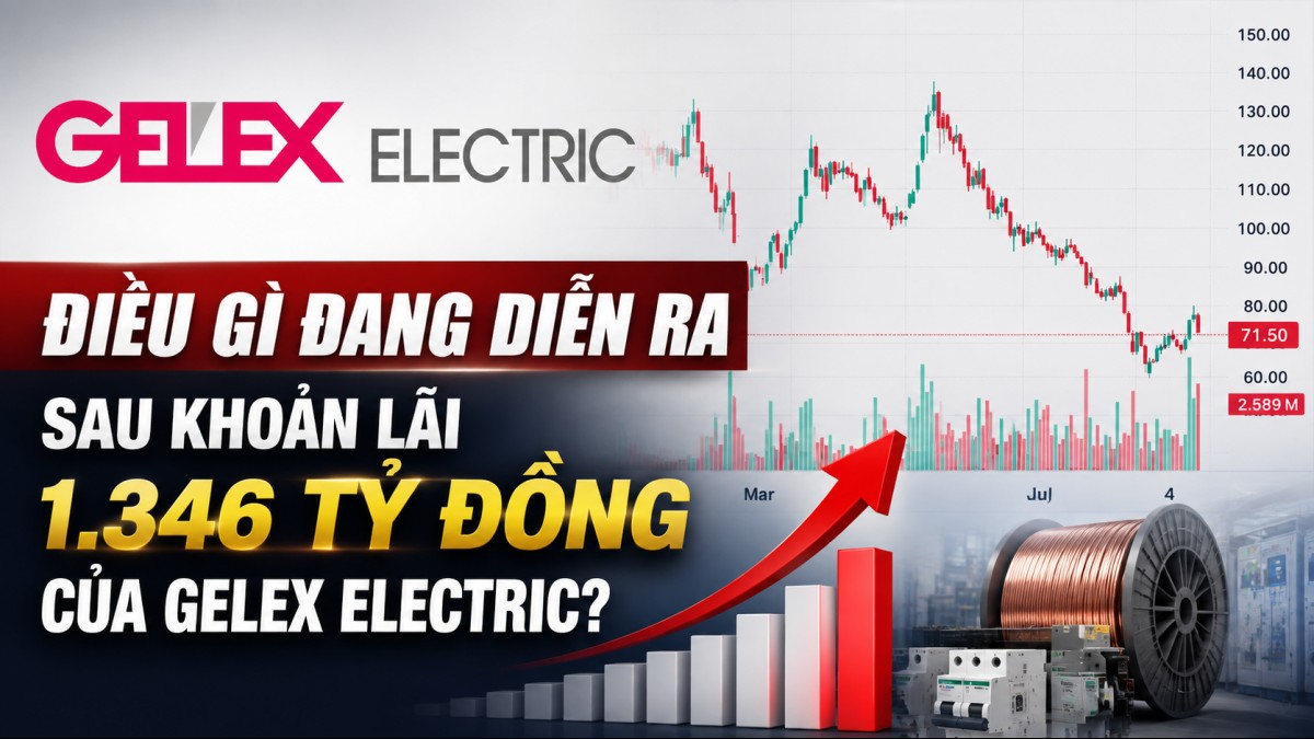 Điều gì đang diễn ra sau khoản lãi 1.346 tỷ đồng của GELEX Electric?