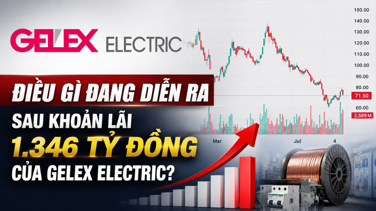 Điều gì đang diễn ra sau khoản lãi 1.346 tỷ đồng của GELEX Electric?