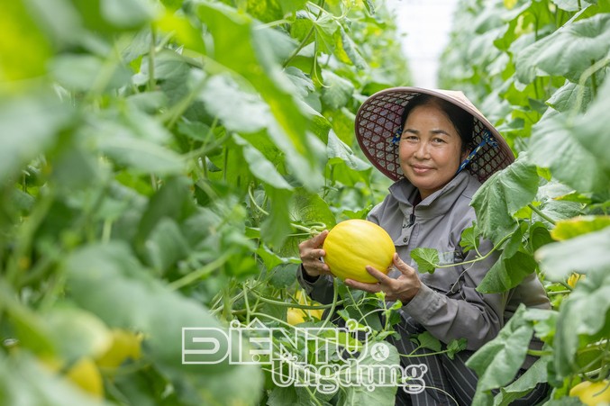 Visa tiếp tục đồng hành cùng Phụ nữ làm chủ