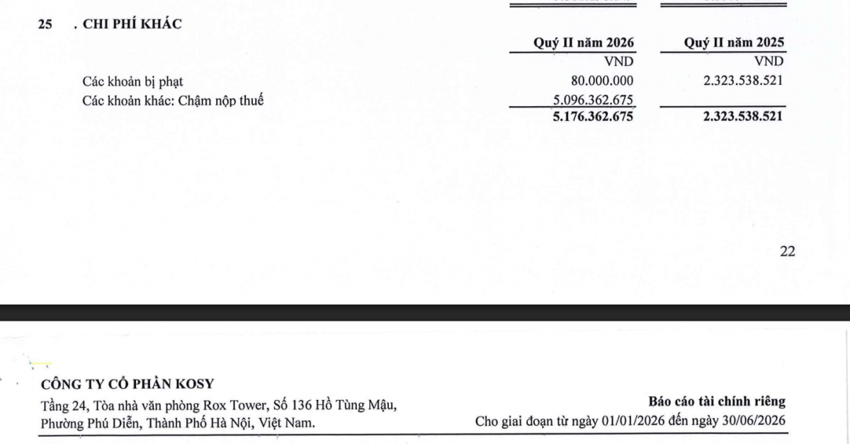 Báo cáo tài chính riêng quý II/2026 ghi nhận 5,09 tỷ đồng tiền chậm nộp thuế và 80 triệu đồng tiền phạt trong chi phí khác.