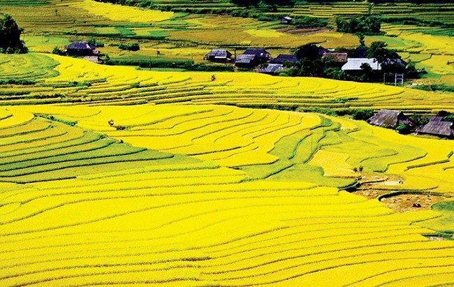 Điện Biên thử nghiệm sandbox UAV mở đường kinh tế tầm thấp