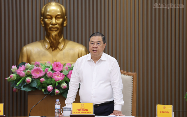 Phó Thủ tướng Thường trực Phạm Gia Túc phát biểu tại buổi làm việc - Ảnh: chinhphu.vn