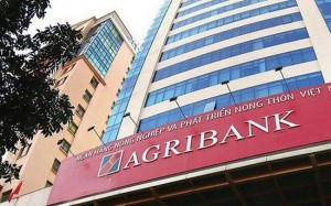 Agribank Nam Sách còn hạn chế trong thu thập thông tin, hồ sơ tín dụng