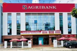 Những tồn tại trong hoạt động cấp tín dụng tại Agribank Hoành Bồ Quảng Ninh