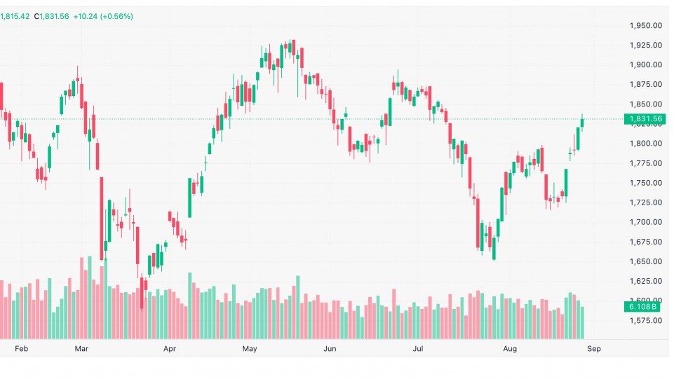 Chứng khoán 27/8: VIC gánh gần 94% mức tăng, VN-Index đóng cửa 1.831,56 điểm