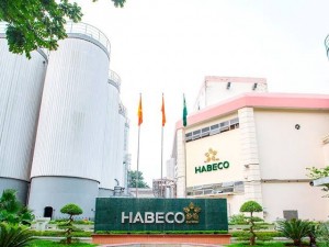 HABECO lãi lớn, phần mềm và máy móc còn lại bao nhiêu giá trị?