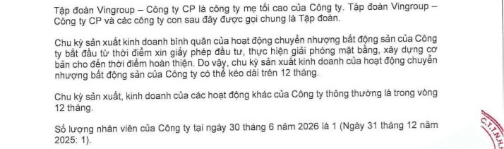 Công ty con Vingroup lãi 11.231 tỷ đồng trong nửa đầu năm