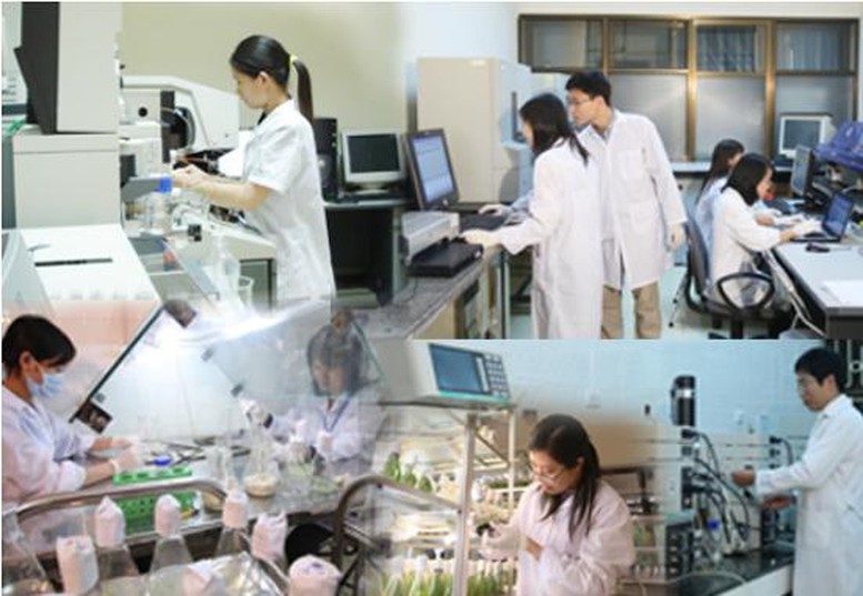 11 nhóm vị trí công tác lĩnh vực khoa học, công nghệ tại chính quyền địa phương phải định kỳ chuyển đổi. Hình minh họa
