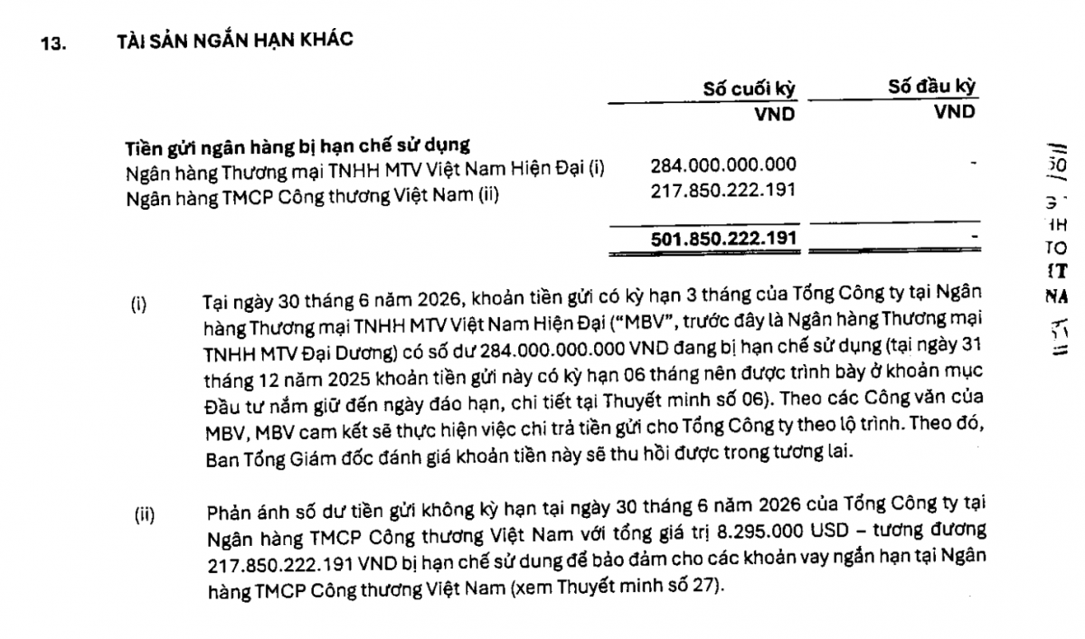 Hơn 501 tỷ đồng tiền gửi ngân hàng của Đạm Phú Mỹ đang bị hạn chế sử dụng tại thời điểm 30/6/2026. Ảnh chụp màn hình báo cáo.