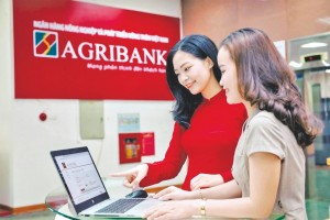 Một ngân hàng big 4 còn tồn tại trong bảo đảm tiền vay, kiểm tra sử dụng vốn