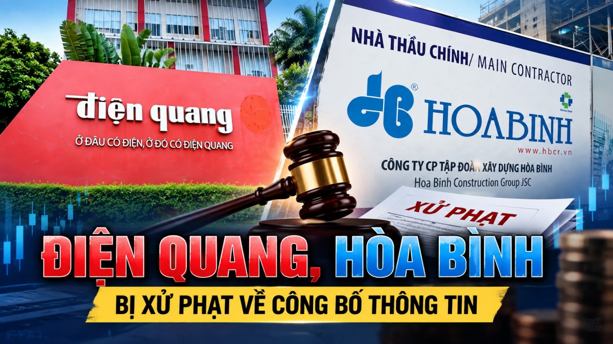 Điện Quang, Xây dựng Hòa Bình bị xử phạt về công bố thông tin