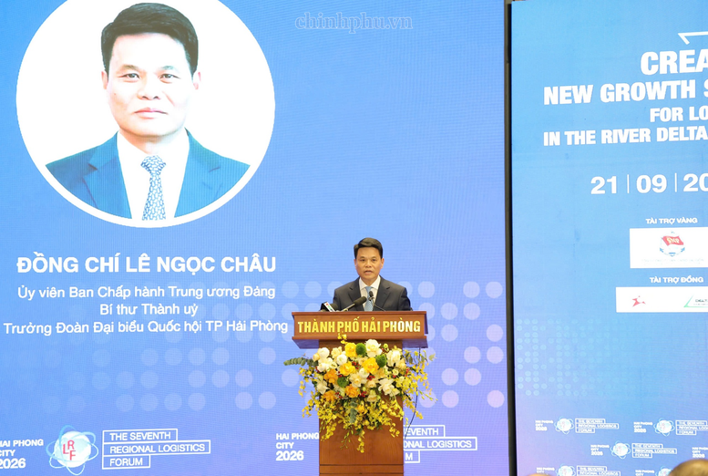 Phó Thủ tướng Hồ Quốc Dũng: Kiến tạo không gian phát triển mới cho logistics Vùng đồng bằng sông Hồng- Ảnh 3.