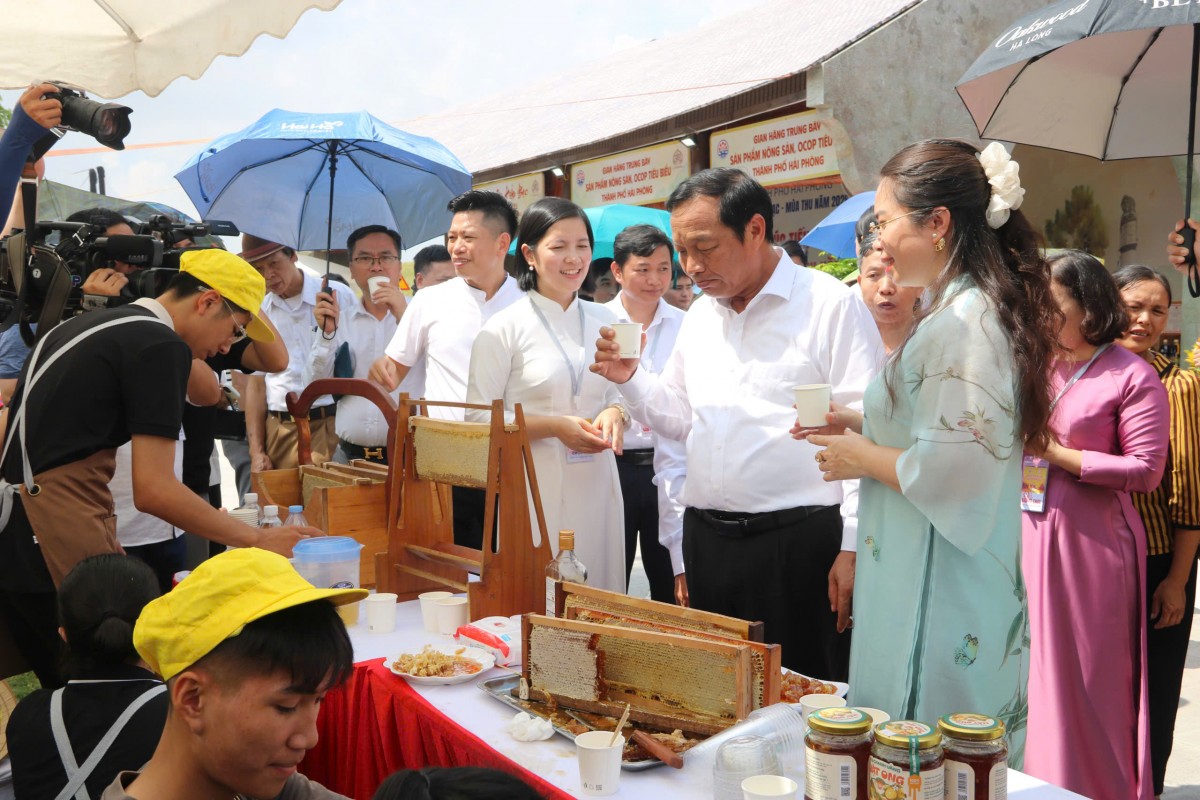 Khai mạc Tuần Văn hóa, Du lịch và Xúc tiến Thương mại Côn Sơn, Kiếp Bạc 2026 Khai mạc Tuần Văn hóa, Du lịch và Xúc tiến Thương mại Côn Sơn, Kiếp Bạc 2026