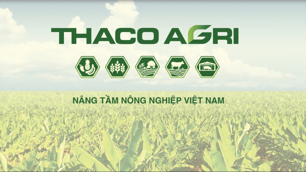 THACO AGRI bị phạt 92,5 triệu đồng vì chậm công bố thông tin