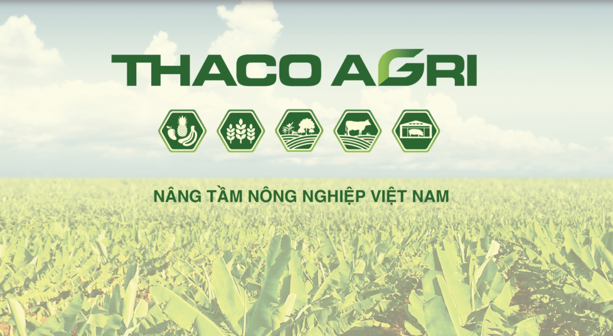 THACO AGRI bị phạt 92,5 triệu đồng vì chậm công bố thông tin