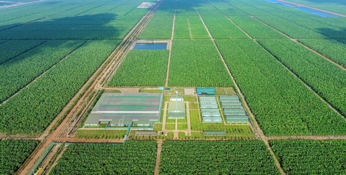 THACO AGRI bị phạt 92,5 triệu đồng. Ảnh: thacoagri vì chậm công bố thông tin. Ảnh 