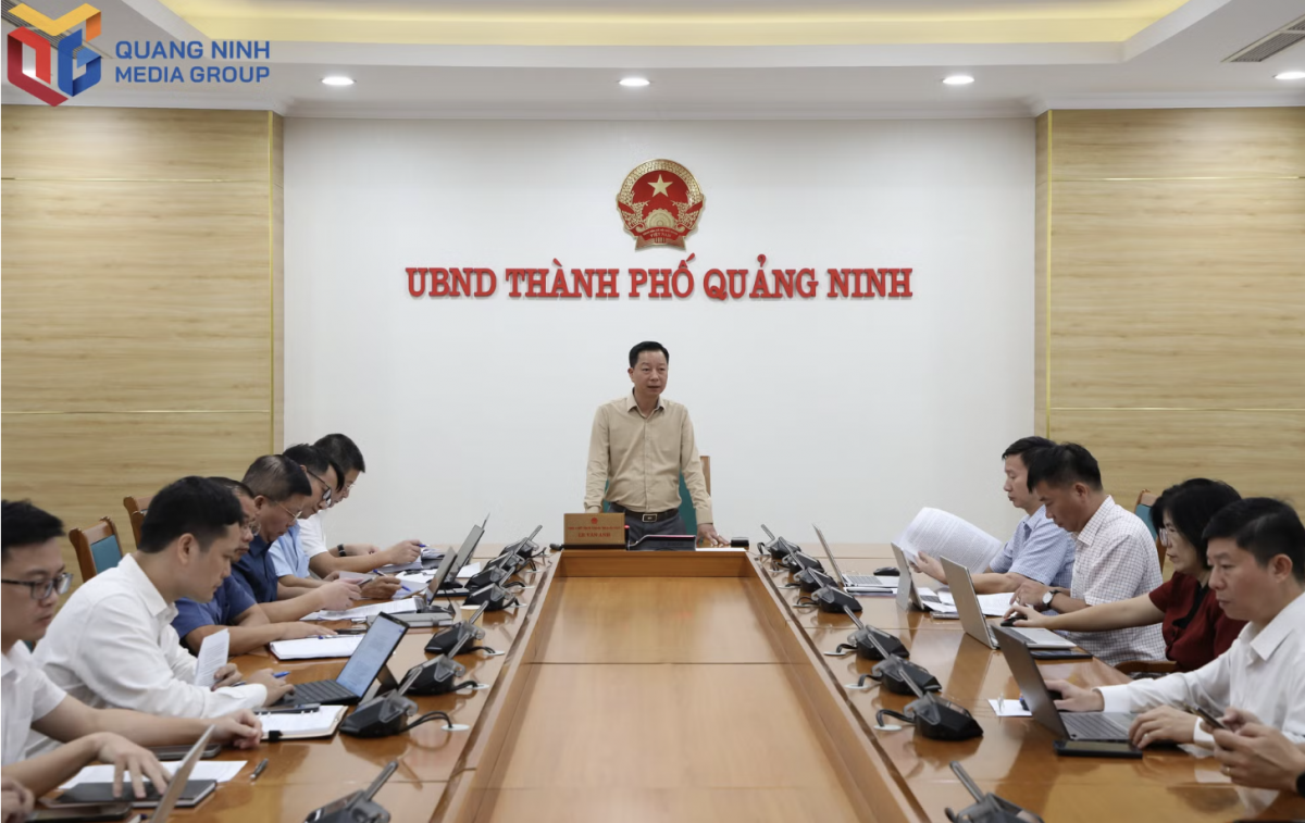 Điện gió Quảng Ninh tháo gỡ vướng mắc, bám tiến độ Quy hoạch điện VIII