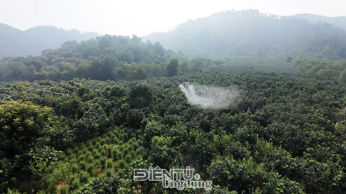 FPT Shop đồng hành cùng Điện Biên phát triển mô hình UAV trong nông nghiệp