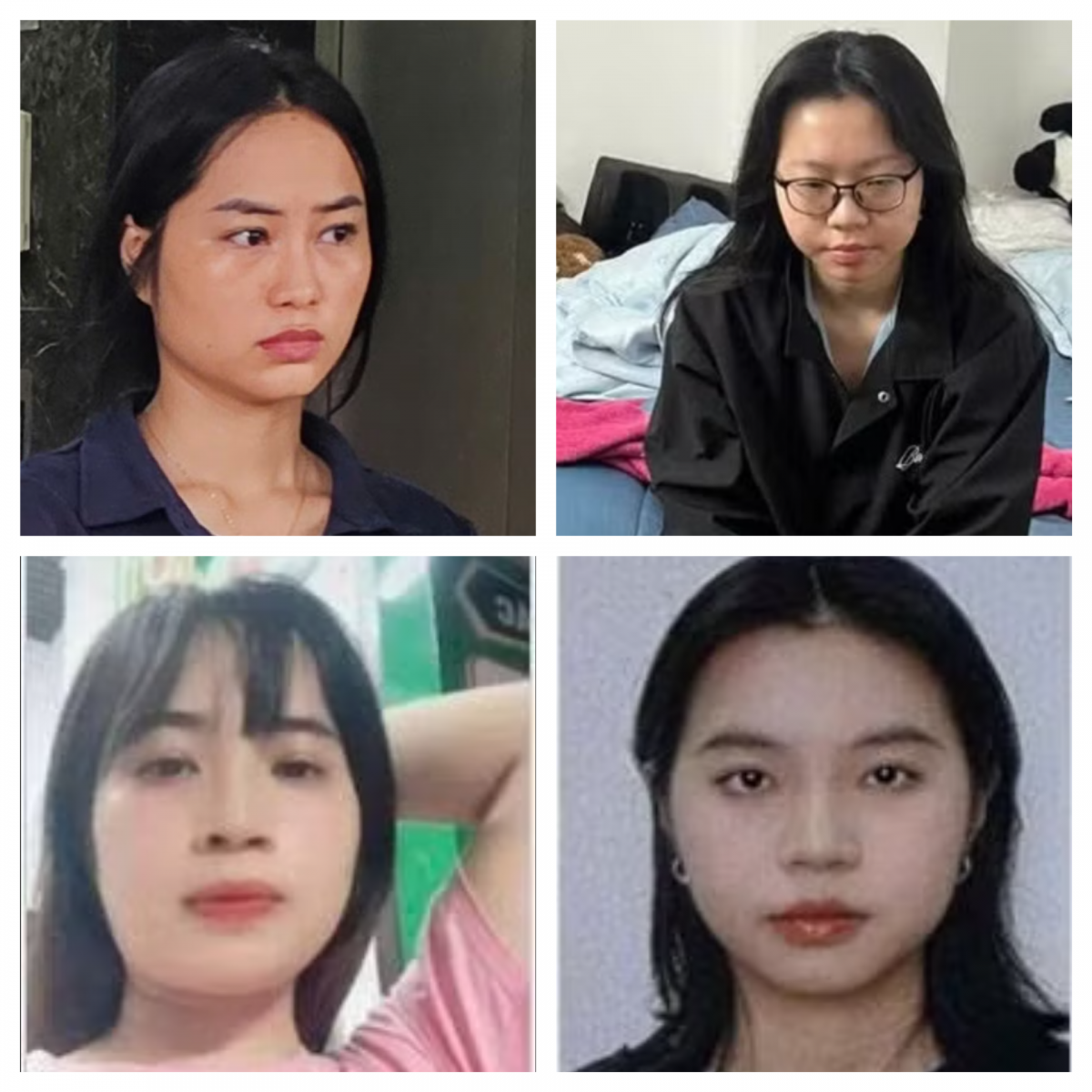 Tatao Live dùng chiêu kiếm tiền bằng AI, hơn 40.000 người sập bẫy