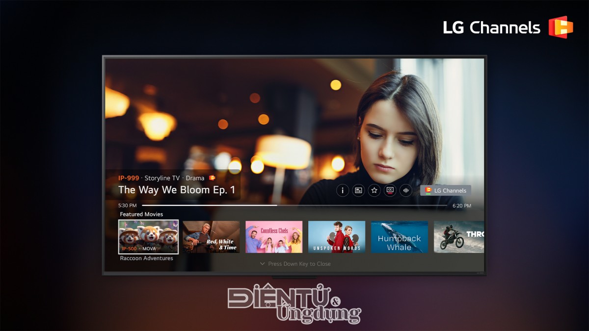 LG chính thức triển khai LG Channels tại Việt Nam