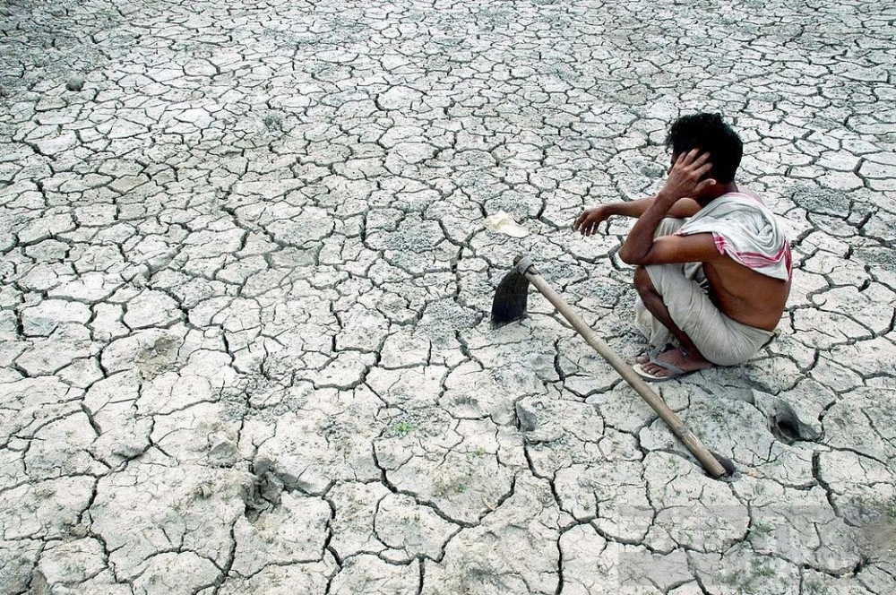 Áp lực lạm phát lương thực toàn cầu đang gia tăng do hiện tượng El Nino