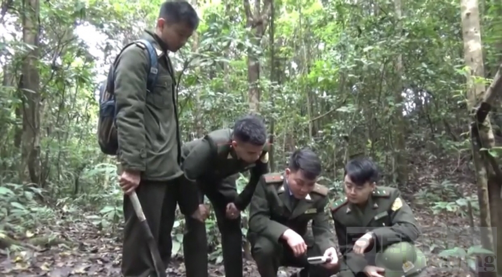 bao ton phat trien hai hoa dong son ky thuong can phoi hop cua cac cap cac nganh