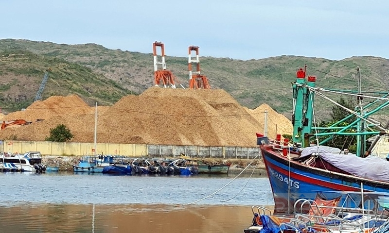 binh dinh cac nha may che bien dam va vien nen go khan hiem nguon nguyen lieu