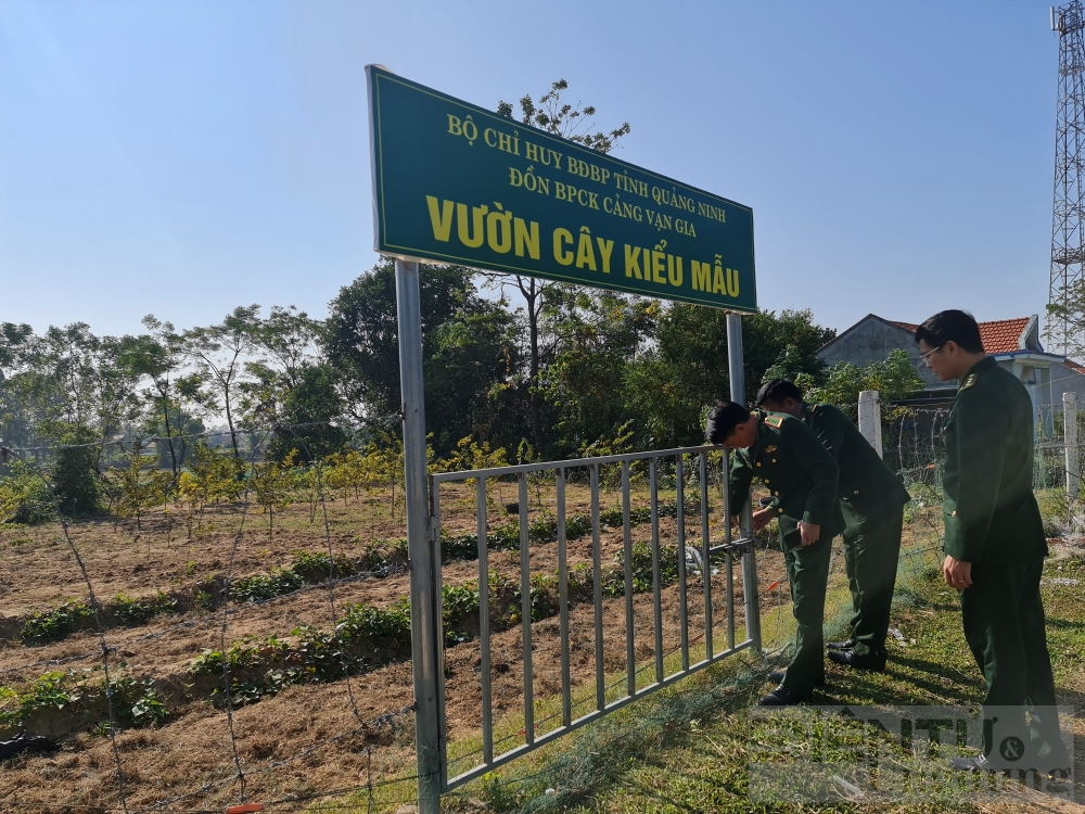 bo doi bien phong quang ninh vi su an ninh bien gioi va nen tang phap luat