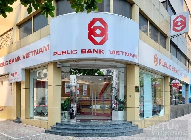 chu nhan cua cong ty tnhh chung khoan ngan hang public viet nam la ai